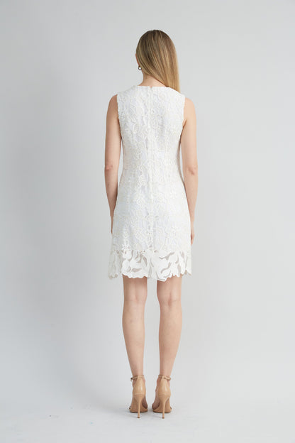 Lace Shift Dress